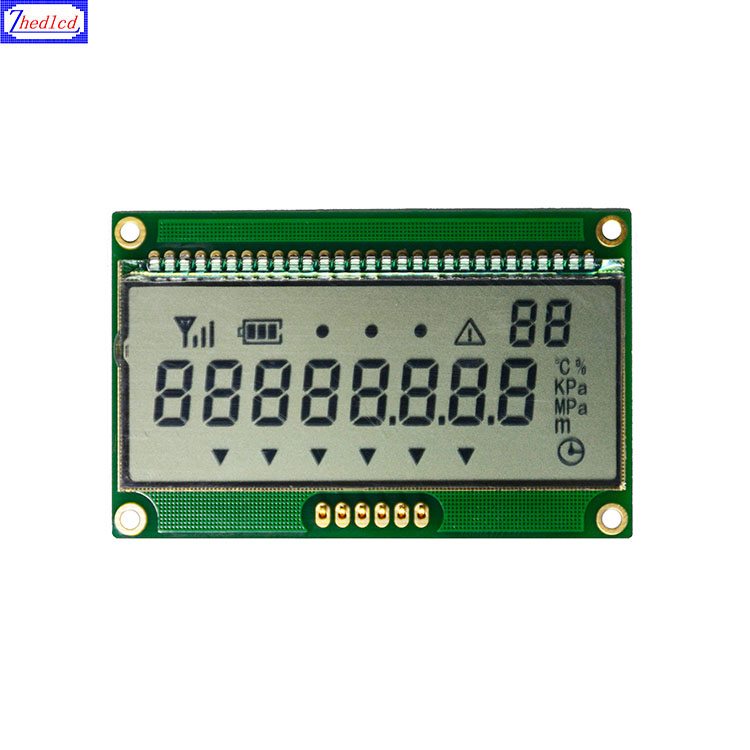 Electric meter LCD module
